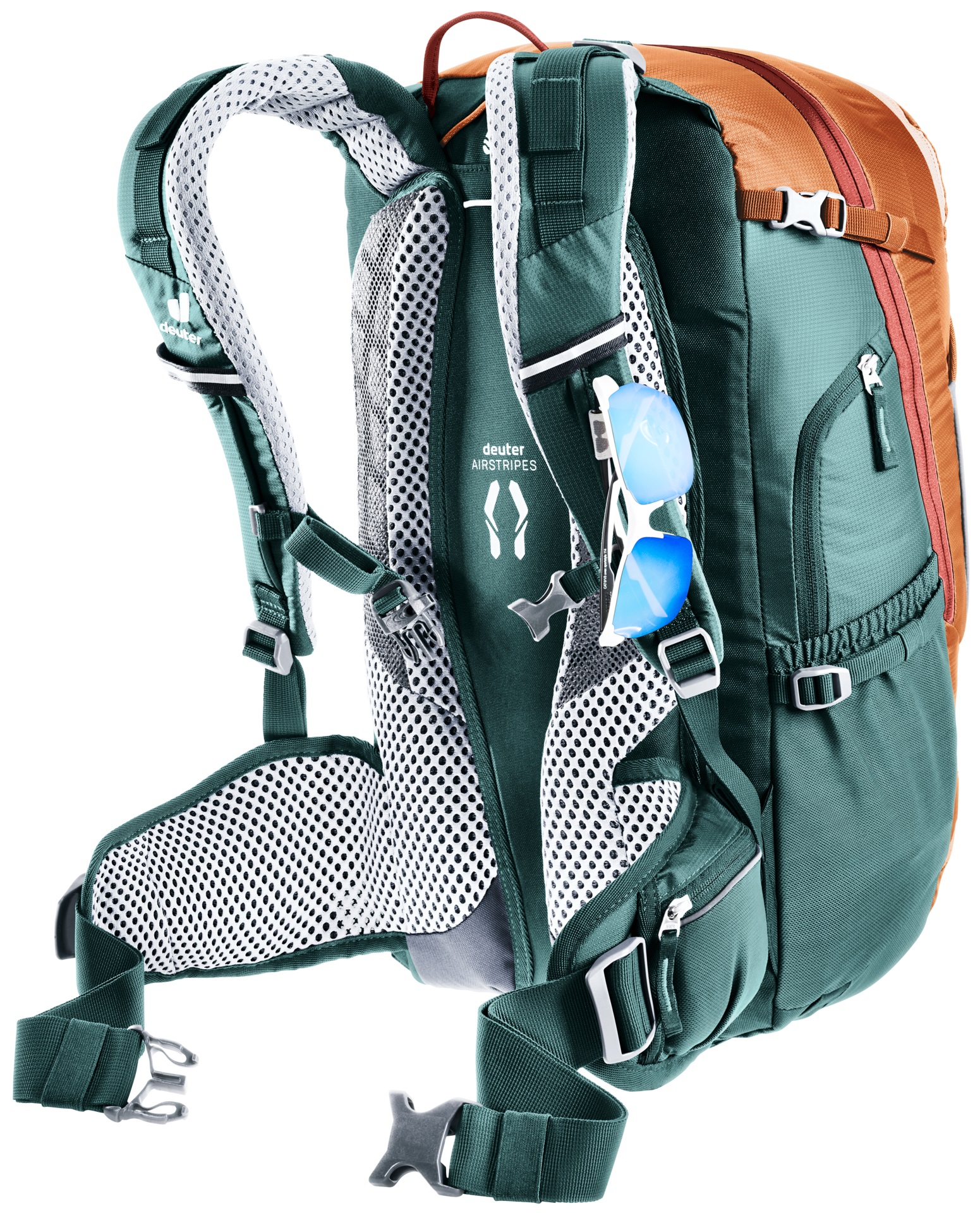 Trans Alpine 24