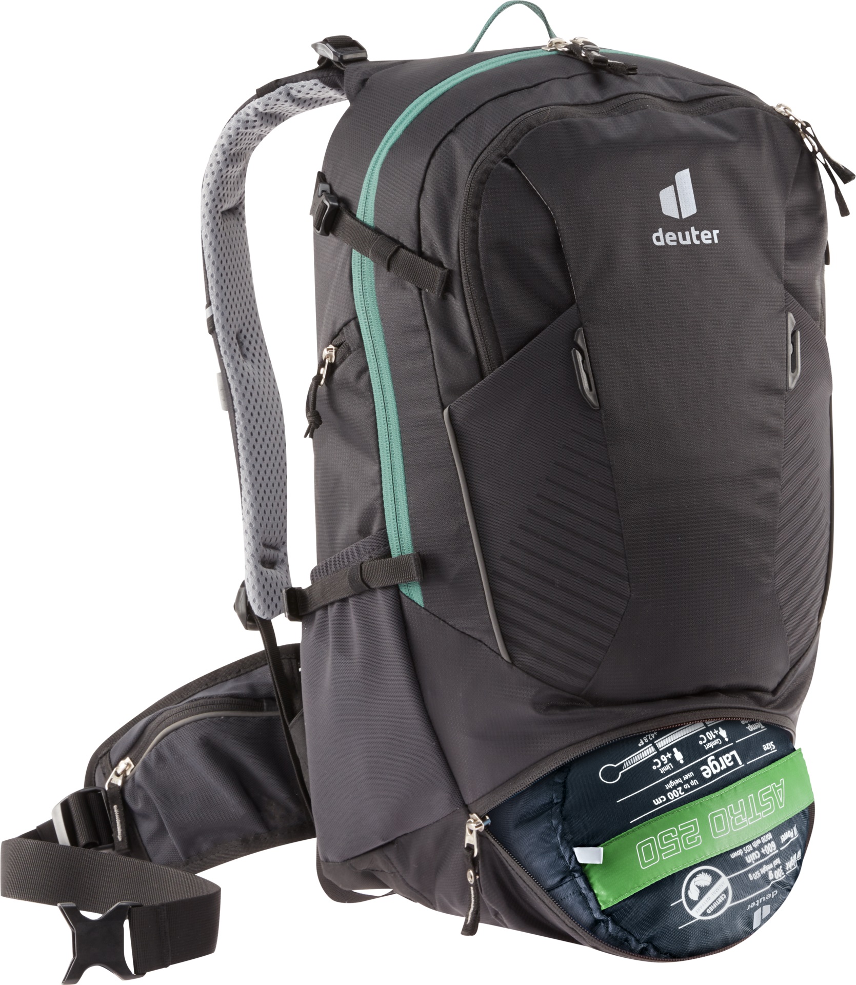 Trans Alpine 24