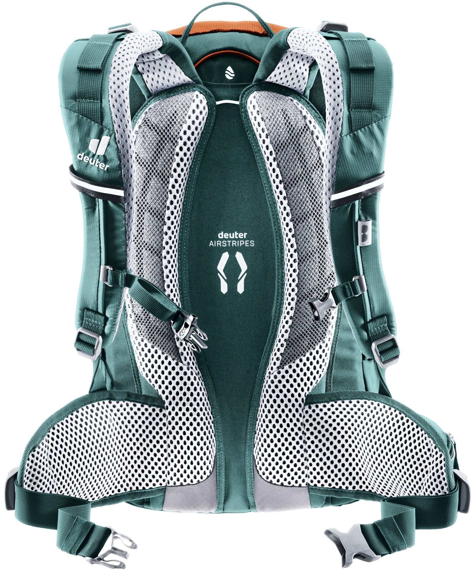 Trans Alpine 24
