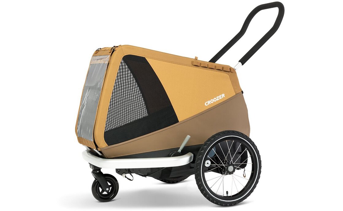 Dog Enna Sundown yellow Bundle