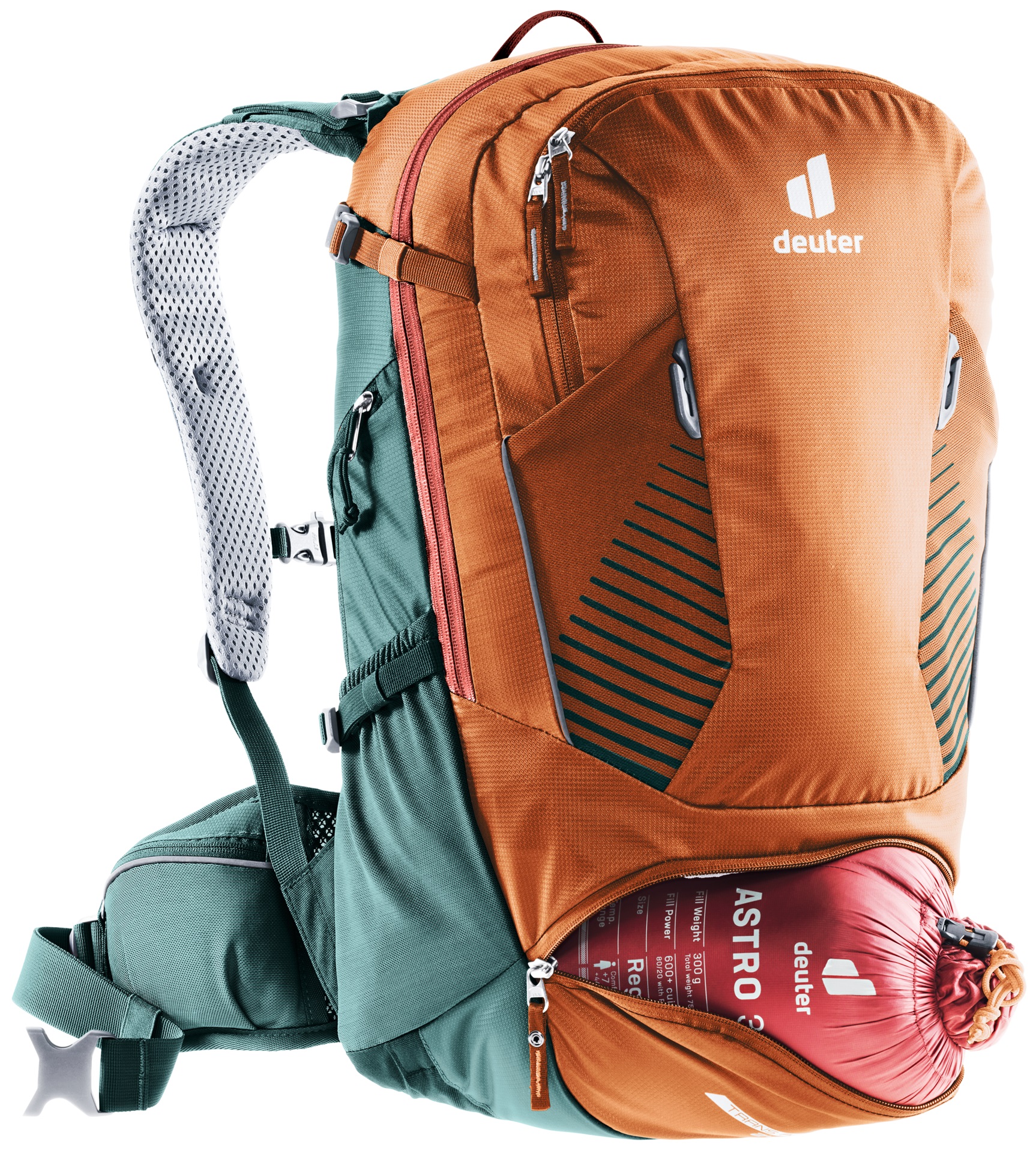 Trans Alpine 24