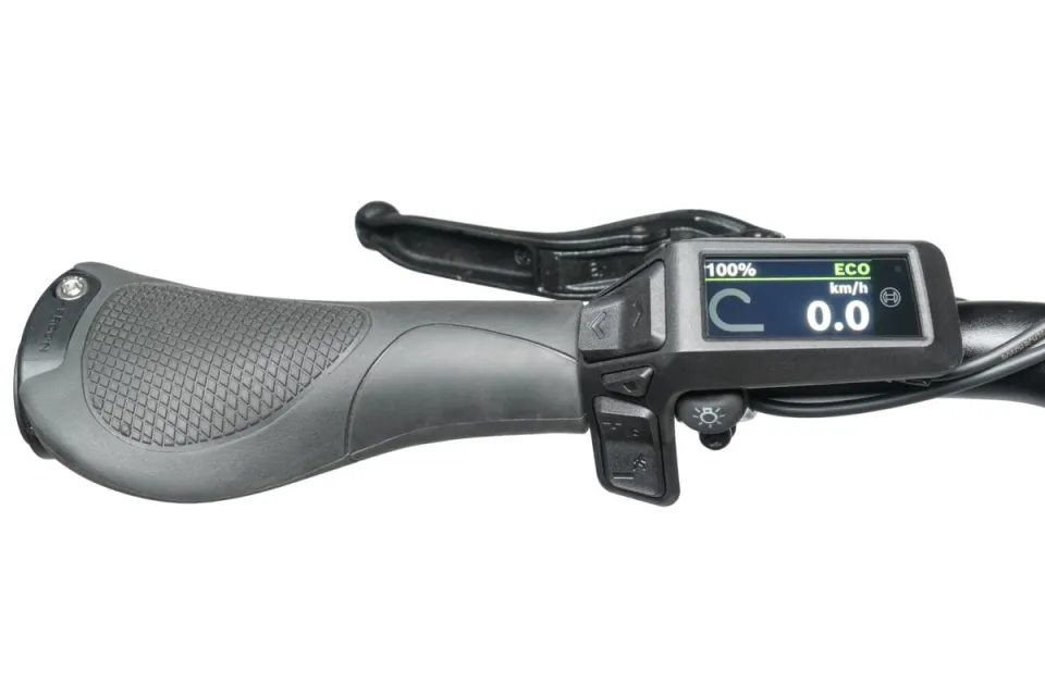 GSD P00