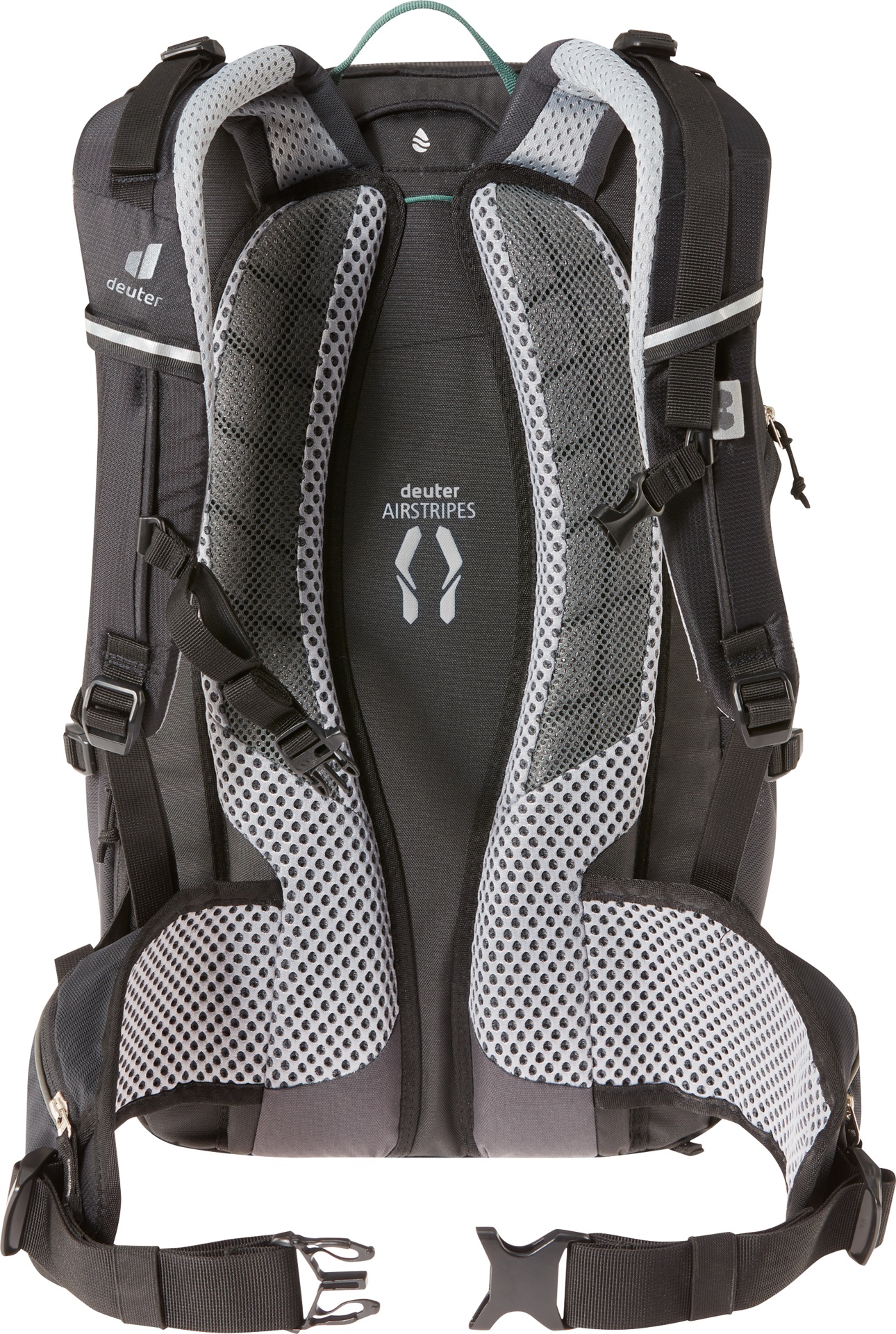 Trans Alpine 24