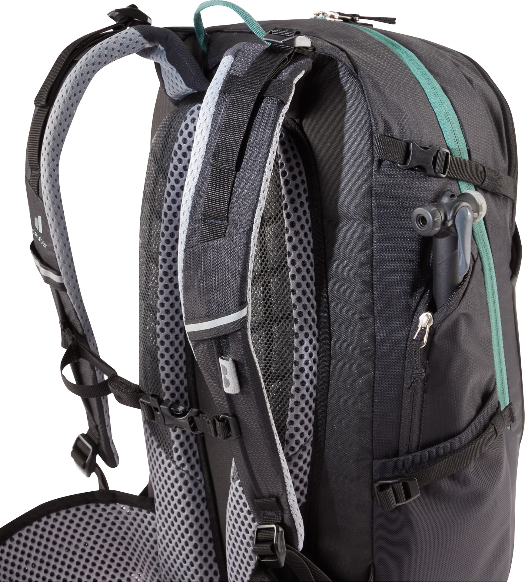 Trans Alpine 24