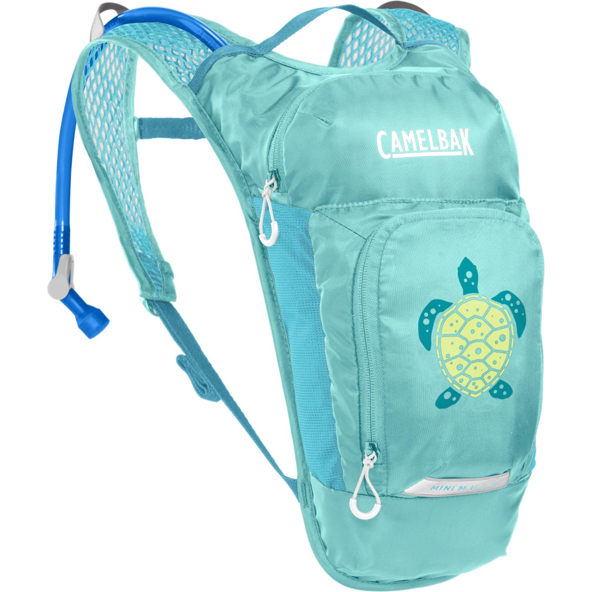 TURQUOISE/TURTLE