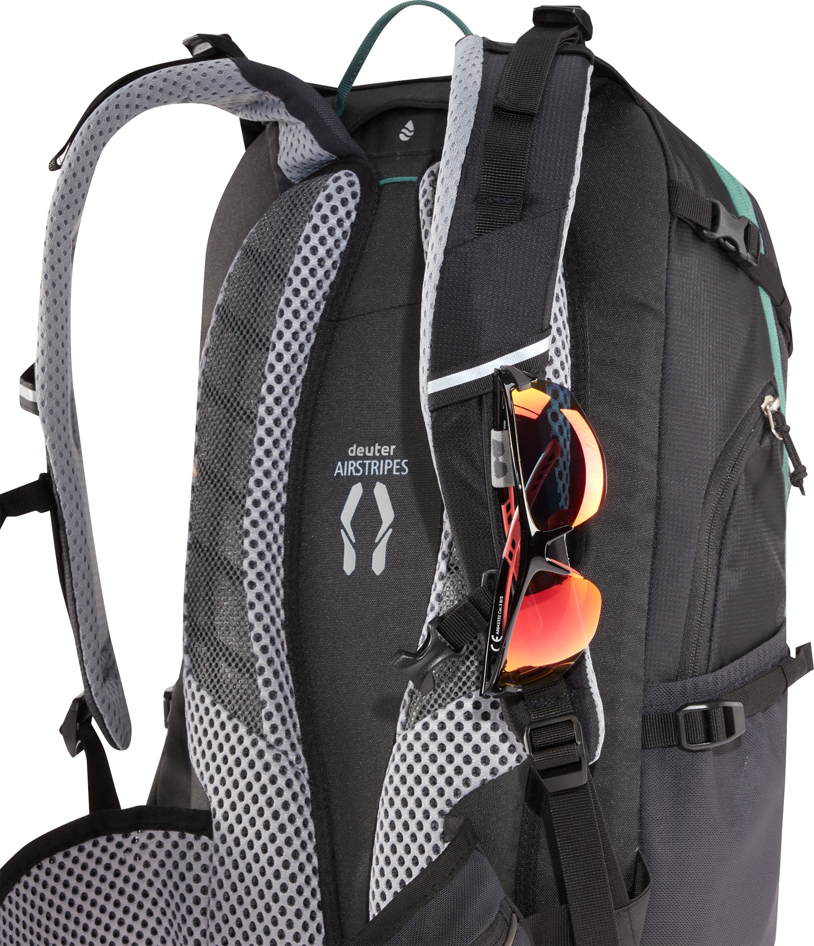 Trans Alpine 24